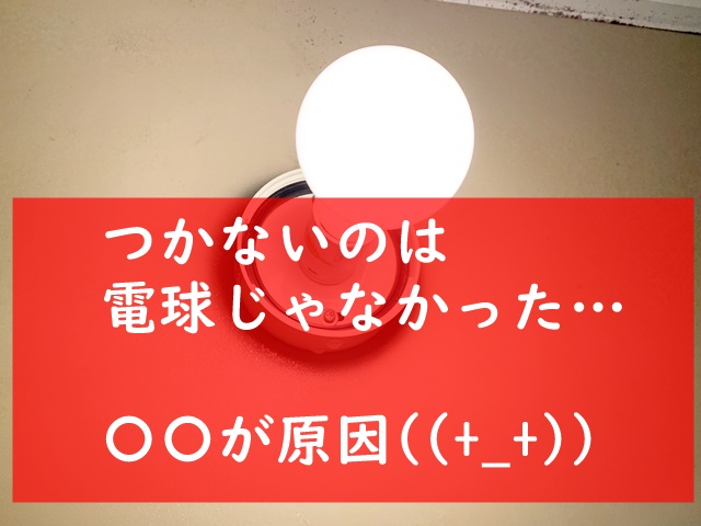 風呂場の電球がついたり消えたり、今度はつかない！原因は〇〇でした。