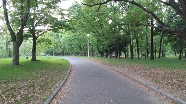 大泉緑地公園 ウォーキング