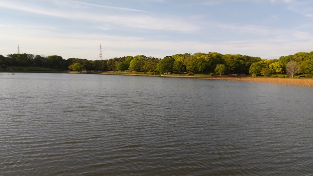 大泉緑地公園の池