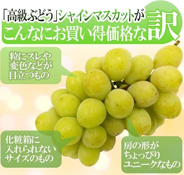 シャインマスカット訳あり安い人気ランキング♪山梨・岡山・長野産から送料無料お取り寄せ