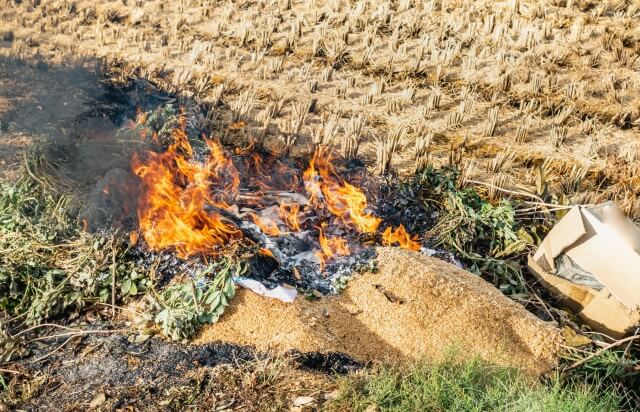 野焼き通報されたら罰金や何罪になる？逆恨みされる危険や苦情はどこにする？