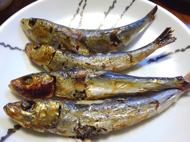 アニサキス 焼き魚にいる